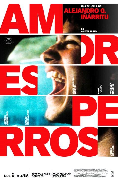 AMORES PERROS 25 ANIVERSARIO [2000]