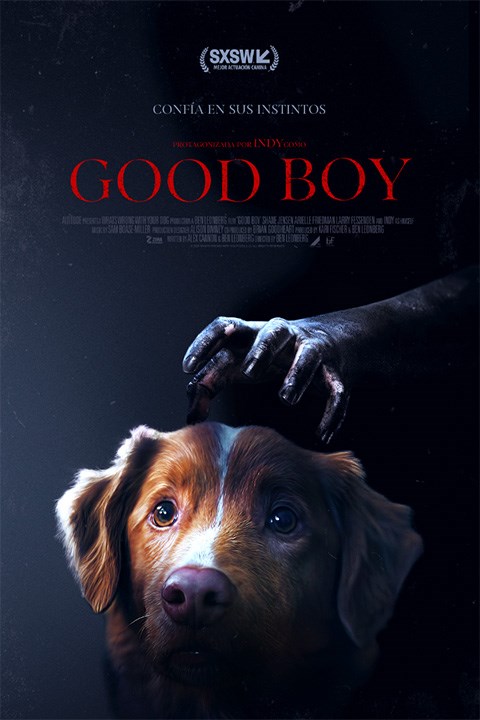 GOOD BOY