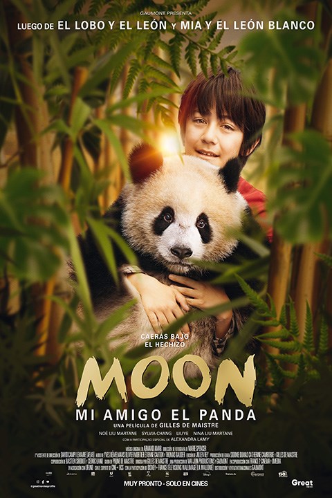 MOON MI AMIGO EL PANDA