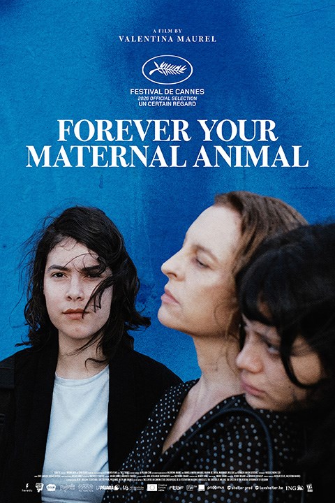 FCL30: SIEMPRE SOY TU ANIMAL MATERNO