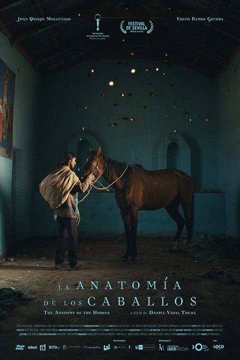 FCL30: LA ANATOMÍA DE LOS CABALLOS