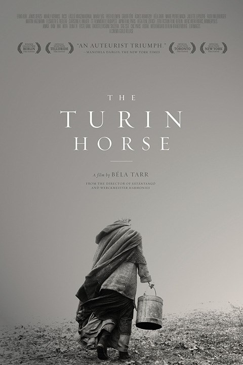 FCL30: THE TURIN HORSE
